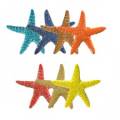 Starfish Mosaics