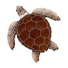 Pool Mosaics - Turtle Mosaics