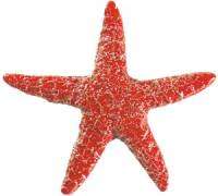 Artistry in Mosaics - Starfish red