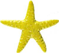 Artistry in Mosaics - Starfish yellow