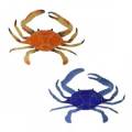 Pool Mosaics - Crab Mosaics