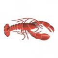 Pool Mosaics - Lobster Mosaics