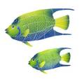 Tropical Fish Mosaics