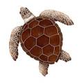 Turtle Mosaics