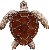 Loggerhead Turtle Brown