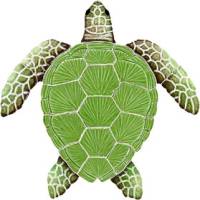 Pool Mosaics - Turtle Mosaics - Artistry in Mosaics - Loggerhead Turtle Green